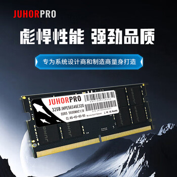JUHOR玖合(JUHORPRO) DDR5 32GB DDR5 5600 商业级笔记本内存条