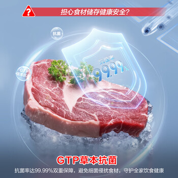 容声（Ronshen）200L单温家用冰柜冰箱一级强减霜抗菌净味冷柜可囤约285斤肉BD/BC-200ZMSMB