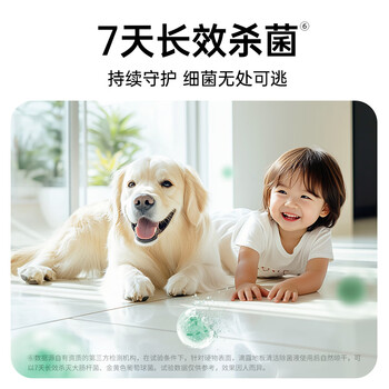 滴露(Dettol)地板清洗剂热门商品2L地板清洁剂去污杀菌地板瓷砖清洁剂拖地专用 滴露(Dettol)地板清洗剂热门商品2L地板清洁剂去污杀菌地板瓷砖清洁剂拖地专用