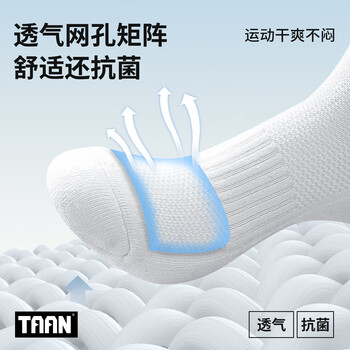 Taan泰昂羽毛球袜毛巾底吸汗运动袜抗菌防臭短袜女袜T206 混色3双