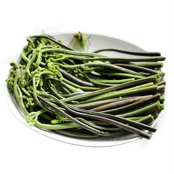 湛航 龙爪菜 云南特产新鲜龙爪菜 野生蕨菜蔬菜保鲜农家菜凉拌餐饮