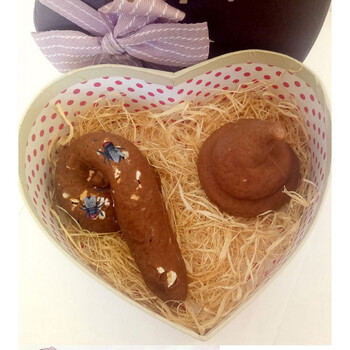 大便粑粑屎吃的生日恶搞礼物整人整人情人节送男友女生 两只便便(心形