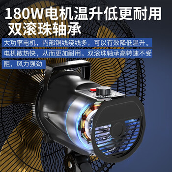 皓彩（haoluck）工业风扇超大风力落地扇强力牛角扇立式商用工厂工业扇车间家用 20吋五档 金色铝5叶