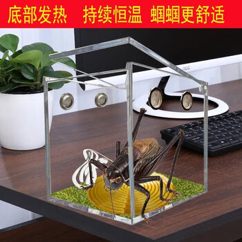 蟋蟀罐蟋蟀盆价格报价行情- 京东