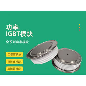 澜世 可控硅晶闸管  T2009N34TOF