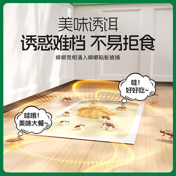 绿叶蟑螂粘板杀蟑螂杀蛮蠊家用蟑螂捕捉器带诱饵20片/盒19V1