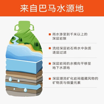 巴馬百年（LONGLIFE）大桶水母婴水巴马泡茶水活性自涌饮用天然泉水10L2桶整箱