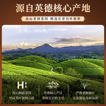 七春 英红九号英德红茶  广东茗茶  浓香型茶叶伴手礼盒60g