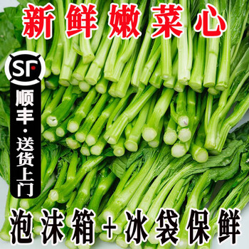 心菜 img_51080b6443f0beaf9995768d9e