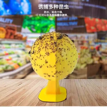 COODORA果蝇小飞虫诱捕器室内外家用粘虫球灭虫神器5个球+底座+双面胶