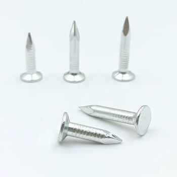 永利尚 沥青瓦钉大帽钢钉规格全钉子钢钉水泥钉房顶玻纤瓦油毡瓦专用钉 25mm（1斤/袋）