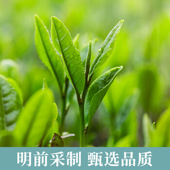 茶一馆绿茶 正宗安徽特级黄山毛峰 明前新茶茶叶礼盒装150g送礼送长辈