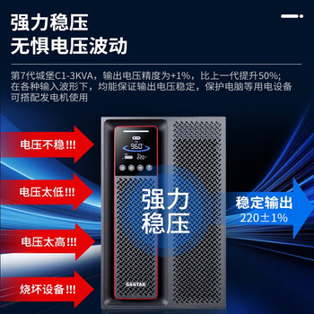 山特（SANTAK）C1K 在线式UPS不间断电源1000VA/1000W 稳压服务器机房电脑内置电池标准机