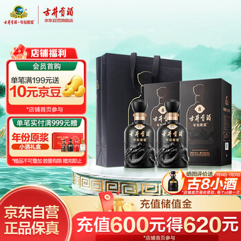 古井貢酒 古20（20年）2本入り 白酒 500ml 中国酒 2023年】白酒(52度 年份原浆中国香古20年) 古井贡酒礼盒 500ml