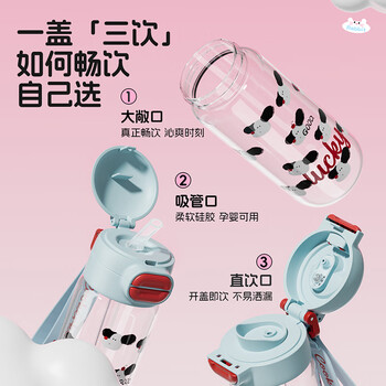 炊大皇玻璃水杯女生高颜值大容量高硼硅耐热防爆耐高温530ml（粉兔子）