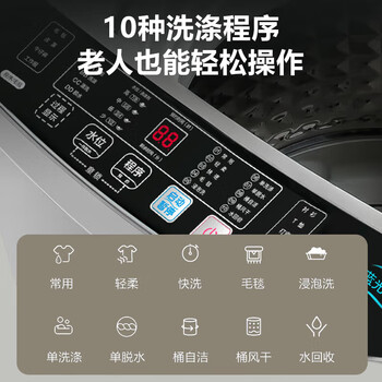 志高（Chigo）10公斤大容量波轮全自动洗衣机蓝光洗护毛毯洗 家用租房宿舍洗衣机洗脱一体定制程序 XQB100-118
