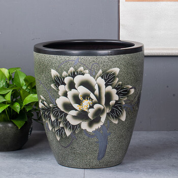 大水缸养金鱼品牌及商品- 京东