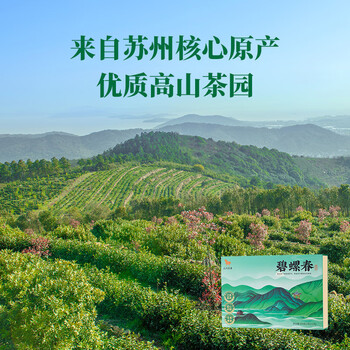 八马茶业绿茶 抱春江苏碧螺春一级208g 2025年礼盒装茶叶送礼