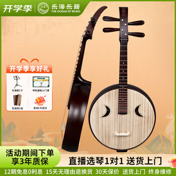 中国　中阮 O1CN01EWKqNb28t0rSrds2Y_!!