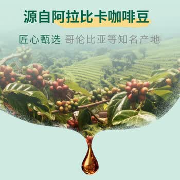 星巴克精萃咖啡液 阿拉比卡豆 浓醇黑咖啡 绵柔香草风味25ml*6杯