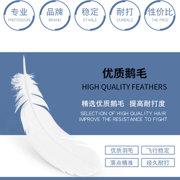 薰风（KUMPOO）日常娱乐训练用球熏风鹅毛羽毛球  红薰66一筒12个装(77速)