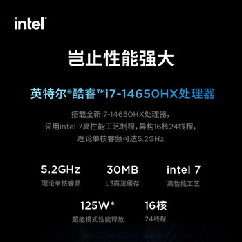 联想拯救者Y7000P 电竞游戏笔记本电脑(酷睿i7-14650HX 16G 1T RTX5060 2.5K 240Hz 黑) 