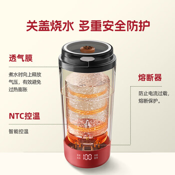 大宇（DAEWOO）【迷你轻巧】便携式烧水壶 电热加热水杯旅行旅游热水壶 保温恒温 办公出差 婴儿泡奶 D19复古红