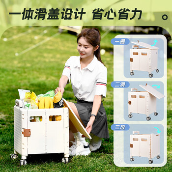得力（deli）手推车购物车手拉车拉杆行李车拖车折叠75kg