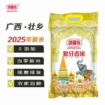 鸿福佳象牙香米2025年10斤新大米松软南方广西丝苗煲仔饭农家自种无香精 5公斤