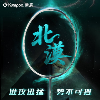 薰风（KUMPOO）羽毛球拍熏风进攻全碳素碳布网纹专业耐打比赛训练拍北漠沙漠绿