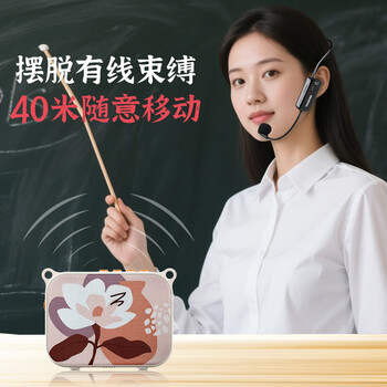 得胜（TAKSTAR）E30W 无线小蜜蜂扩音器教师专用导游喇叭腰挂便携式国风蓝牙小音箱喊话器无线讲课麦克风 柔月白