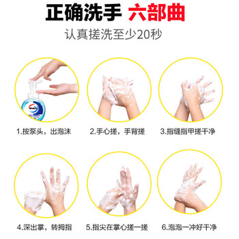 威露士洗手液青柠盈润300ml*4瓶 易冲洗健康呵护抑菌99% 泡沫洗手液