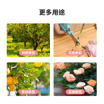 天色 花艺剪刀165mm 家用鲜花插花专用剪刀 绿箩绿植盆栽花卉修剪刀 园艺剪刀 鲜花剪 TS-5744 粉色 天色 花艺剪刀165mm 家用鲜花插花专用剪刀 绿箩绿植盆栽花卉修剪刀 园艺剪刀 鲜花剪 TS-5744 粉色