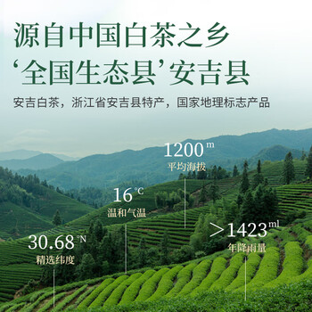 芳羽2026新茶预订安吉白茶核心原产地绿茶40克 茶叶 便携袋装春茶
