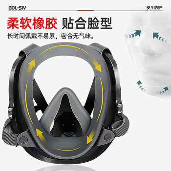 胜丽 GOL-SIV® 防毒面具全面罩 防有机气体蒸汽/苯/汽油 喷漆化工厂煤矿 M6800+M6001 胜丽 GOL-SIV® 防毒面具全面罩 防有机气体蒸汽/苯/汽油 喷漆化工厂煤矿 M6800+M6001