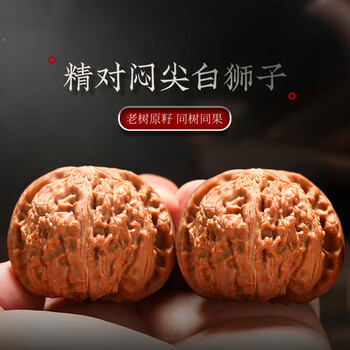 文玩堂：闷尖白獅子頭（47mm）の通販 | LIFESTYLEAYURVEDIC