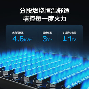 林内（Rinnai）24KW 80-120㎡ 防止空燃 自动气压调节 烟道堵塞保护 燃气壁挂炉L1PB27-24C33(RBS-24C33)