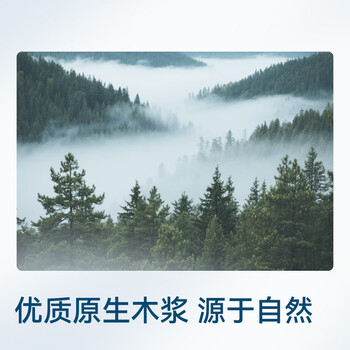 京东京造X京东PLUS会员联名款纸巾 4层加厚100抽*20包卫生纸抽纸京东自营