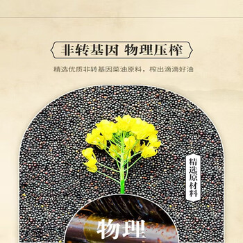 金龙鱼黄桶洗洁精柠檬香型1.1KG+金龙鱼压榨本香菜籽油4L 