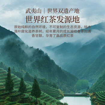 武夷朴红茶特级正山桐木金骏眉茶叶礼盒装250g新茶高端送礼领导长辈正品