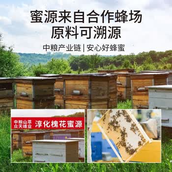 山萃（SUNDRY）中粮出品 纯正蜜500g 成熟蜂蜜  天然酿造 冲饮冲调 营养滋补荆条