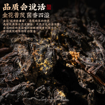 福东顺 安化黑茶2013年金花茯砖礼盒装1kg湖南特产熟茶送礼黑茶