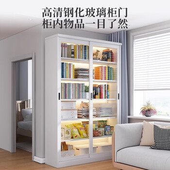 钢信玻璃门书柜推拉门展示柜客厅书房置物收纳柜带锁防尘移门钢制书架