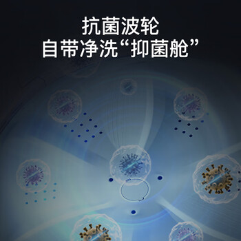 海尔（Haier）洗衣机全自动波轮12公斤家用大容量宿舍租房超薄 智能预约 家电EB120Z33Mate1