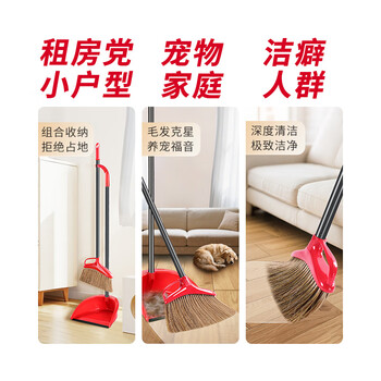 微力达（Vileda）德国鬃毛扫把簸箕套装 家用软毛扫帚不沾灰扫地笤帚套装两件套