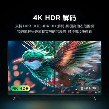 TCL雷鸟 雀5 25款 43英寸电视 144Hz高刷 2+32GB 远场语音 智能液晶超薄平板电视机43F295C
