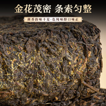 七春泾阳茯茶叶陕西官茶西安特产2020陈高档金花黑茶500g毕业教师礼物