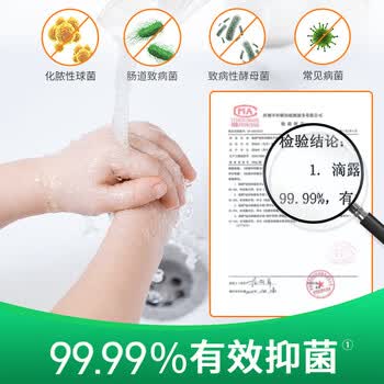 滴露泡沫洗手液花香型250ml*2瓶 儿童宝宝成人通用家庭抑菌洗手液