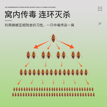巨奇猫山王蟑螂药杀蟑饵剂全窝端家用非无毒屋贴胶饵驱灭蟑神器8枚/盒