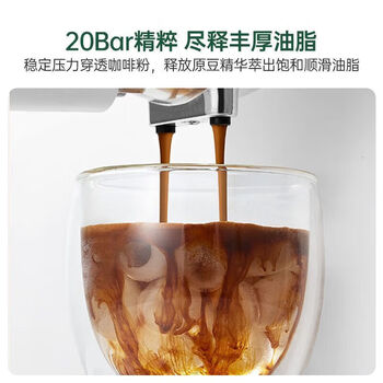 柏翠（petrus）意式半自动咖啡机 智能自动萃取 智能控温  蒸汽打奶泡 小型办公室家用 PE2170 海盐白